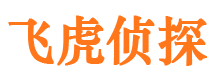 石柱市场调查